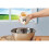 Egg Separator Funny Kitchen Gadget - Fun Snot Nose Egg Separator Tool Useful for Cooking And Baking 5