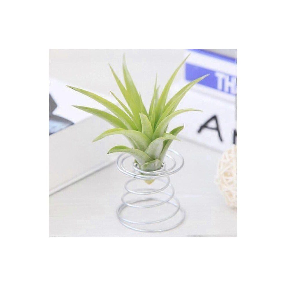 Support de support de Tillandsia pour plantes aériennes, conteneur de table, jardinière Tillandsia,