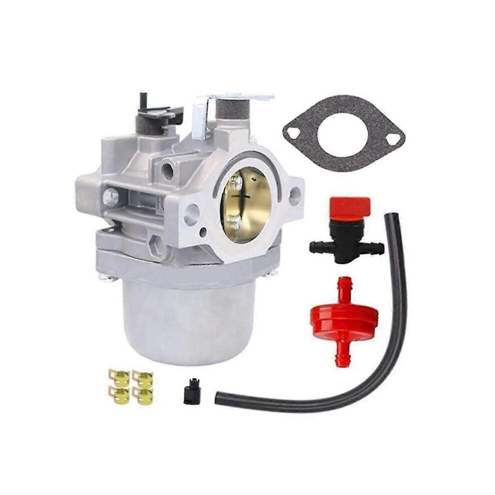 Convient aux pièces de tondeuse 5-4993 pour carburateur 799728 498027-CHENG DU SI XI