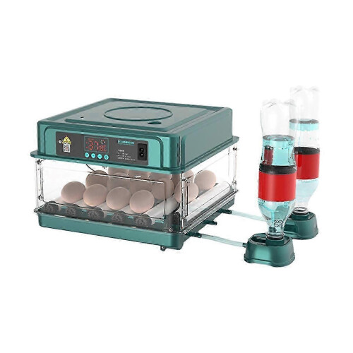 Automatic Egg Incubator with Temperature Control AU Plug-cheng du