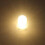 10pcs E10 12v Led Bulb Warm -CDSX 2