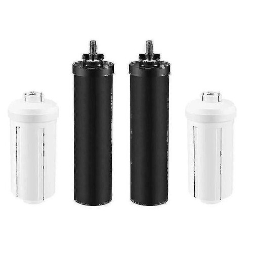 2 actieve koolfilters en 2 fluoridefilters - CDSX