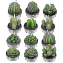 12 stuks Cactus theelichtjes, handgemaakte delicate succulente cactuskaarsen, geschikt voor feesten