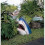 Great White Shark Head Väggfäste Shark Head Skulptur Shark Wall Decor 2