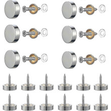 20 sets zilveren spiegelschroeven, 12 mm spiegelschroeven van gepolijst messing, met decoratieve spiegeldop