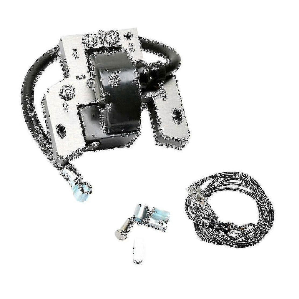 Ignition Coil Compatible Briggs Stratton 591420 398593 496914 793281 792395 9421490176234