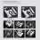 SL01 Camera Flash 4-Speed Adjustment SpeedLite GN8 6500K 3