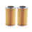 2PCS Engine Oil Filter for 420956741 130 Thru 260Hp 4 TEC Rotax 1