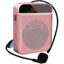 Your Voice, Amplified: Light Weight and Portable Wireless Voice Amplifier, 2 Microphones Included for Unmatched Versatility, Teacher Voice Amplifier