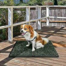 Weather-Resistant Indoor Dog Litter Box, Liquid Seepage Prevention Artificial Grass Mats for Indoor Dog Potty, Non-Slip Design for Secure Attachment