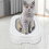(Gray)Cat Toilet Training System Reusable Plastic Sand Box Mat Cat Trainer Reusable Automatic Trainer 4