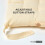 Homescapes (Set of 4, Cream) Plain Seat Pad with Button Straps 100% Cotton 6