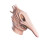 (Adam) Halloween Adam And Barbara Mask Horror Props 1