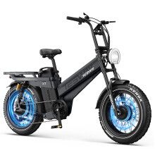TESWAY X7 AWD 20'' Electric Bicycle, 2000W Motor, 60AH Battery, Black