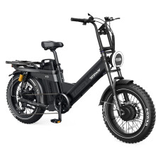 TESWAY X5 AWD 20'' Electric Bicycle, 2000W Motor, 60AH Battery, Black