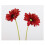 Artificial Gerbera Multipurpose Moisturizing High Simulation Real Touch Single Stem Fake Gerbera Flower for Home Decor Red 4