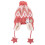 Hat for Girls Disassemblable Earflaps Daily Use Acrylic Fibres Winter Accessory 2Pcs 1