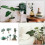 Plastic Model Trees Home Decor Office Decor Realistic Shape 3.5 3.1 2.8in 1Set 4