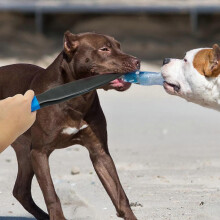 (As show, One size) Dog Break Stick