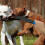 (As show, One size) Dog Break Stick 5