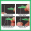 (As show, One size) 20 Pack Sewing Machine Needle Threader, Fish Type Automatic Needle Threader Tool for Small Eyes, Green 2