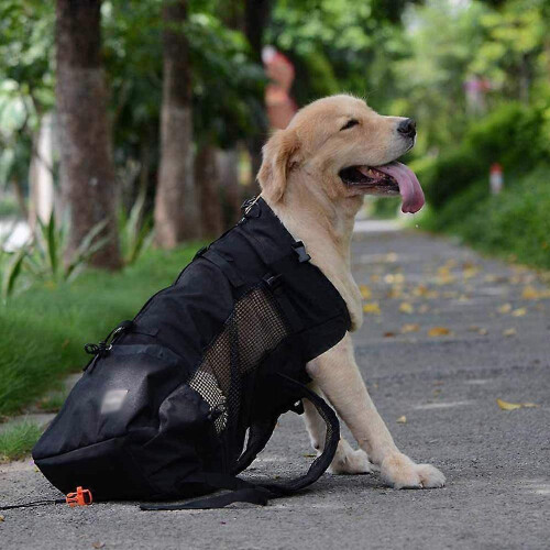 (L, Gray) Dog Carrier Backpack for Small And Medium Pets - Front Facing Adjustable 2