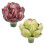 Event Decor , Artichoke Models for Appeal 5