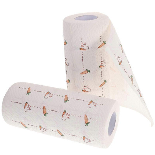 Disposable Kitchen Towels Square Printed Design Water Locking 23x23x0.1cm 2 Rolls