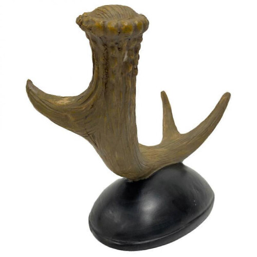 Compact Display Shelf, Sturdy Holder for Aesthetic Appeal 1