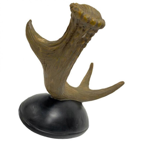 Compact Display Shelf, Sturdy Holder for Aesthetic Appeal 2