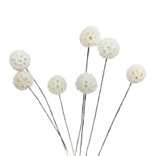 (As show, One size) Billy Ball Flowers Dried Flowers Artificial Dried Flowers Home Garden Decoration