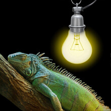 (As show, One size) Heat Light Lamp Three Way Light Bulb Base with Power Line E27 Lamp Socket Holder CN 220V
