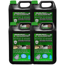 PROLine Mould and Algae Remover Just Spray and Leave