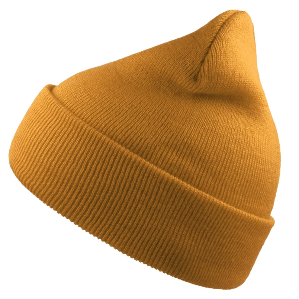 (One Size, Moss) Atlantis Unisex Adult Wind Recycled Cuffed Beanie-image-OPC-PGCQKSJ-NEW