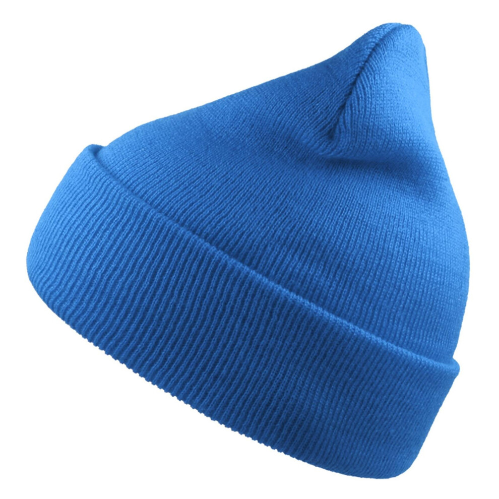 (One Size, Sapphire) Atlantis Unisex Adult Wind Recycled Cuffed Beanie-image-OPC-PGCQKSP-NEW