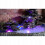 Pendant Lamp Spot Lighting 5