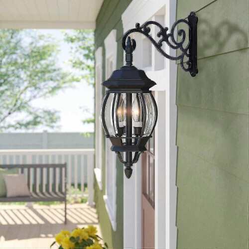 2-Pack Steel Wall Hooks - For Plants, Lights & Decor (Screws Included) 2