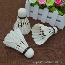 (As show, One size) 12 White Badminton Shuttlecocks: Stable for Training, Ideal for All Players