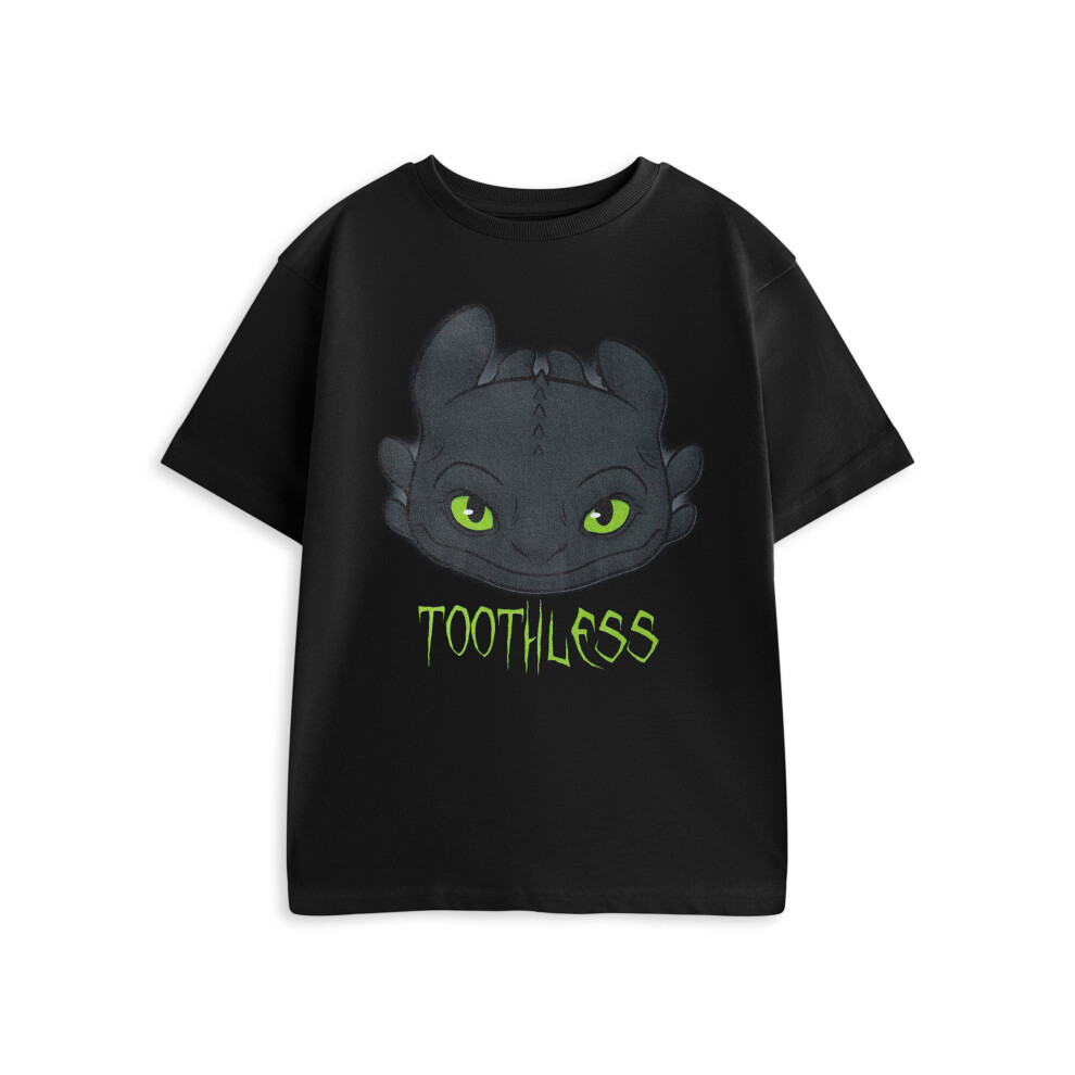 (9-10 Years) How to Train Your Dragon Short Sleeved T-Shirt (Boys Black)