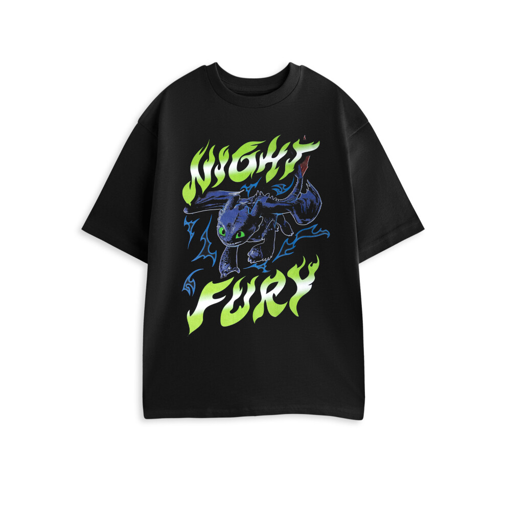 (Large) How to Train Your Dragon Short Sleeved T-Shirt (Mens Black)