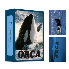 (ORCA)Psicoterapia TARJETA OH 19 Tipos Tarjetas de Psicología Cope/Persona/Hábitat/Shenhua Juego de