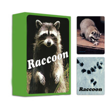 (raton laveur)OH CARD Cartes de psychologie Cope/Persona/Shenhua Jeu de société Jeu de cartes amusant