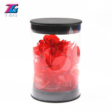 Supports de cartes en plastique translucide arc-en-ciel (rouge) 50 pièces/tube, pièces de jeu de société,