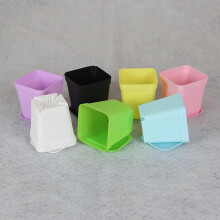 (As show, One size) Mini Square Flower Pot Planter Cactus Durable PP Cactus Flower Pot 5x8x7cm