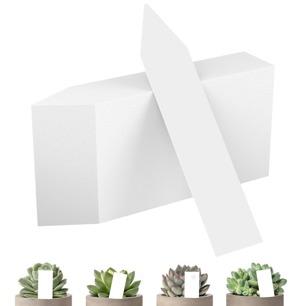 Étiquettes en plastique pour plantes, étiquettes de jardin étanches à l'eau durable 150PCS avec marqueur Pen Groove empilés renforcés, marqu