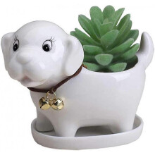 Dog Succulent Planter Pot Drainage Tray Ceramic Flower Cactus Container