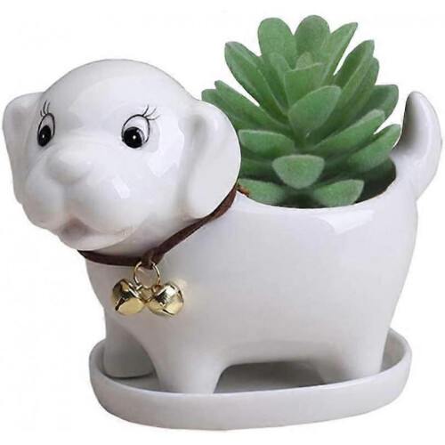 Dog Succulent Planter Pot Drainage Tray Ceramic Flower Cactus Container