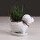 Dog Succulent Planter Pot Drainage Tray Ceramic Flower Cactus Container 2