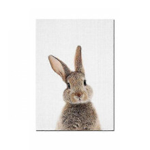 (70x100cm Unframed, Picture 1) Rabbit Rabbit Tail Wall Art Picture Woodland Animals Canvas - Poster Nursery