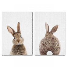(13x18cm Unframed, 2 Pcs Set) Rabbit Rabbit Tail Wall Art Picture Woodland Animals Canvas - Poster Nursery